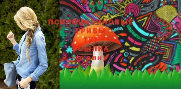 твердый Козельск