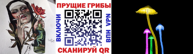 Псилоцибиновые грибы Cubensis  Белогорск 