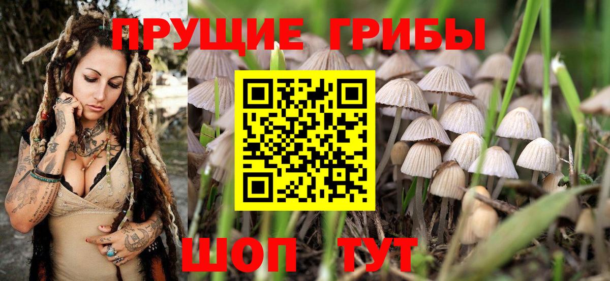 Псилоцибиновые грибы ЛСД  Вход с VPN  Псилоцибиновые грибы MAGIC MUSHROOMS  Белогорск 